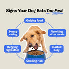 SloBowl — Vet Recommended Slow Feeder for Dogs