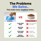 SloBowl — Vet Recommended Slow Feeder for Dogs