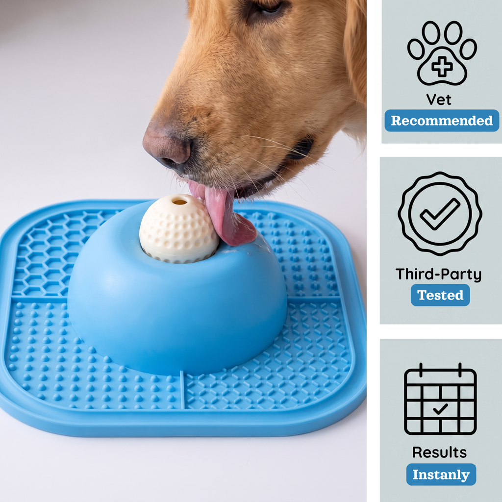 SloBowl — Vet Recommended Slow Feeder for Dogs